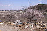 宮城県 七ヶ浜町 復旧関係