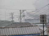 宮城県 七ヶ浜町 要害 小畑 津波