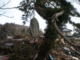 宮城県 七ヶ浜町 被災