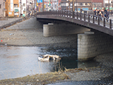 岩手県 釜石市 被災 