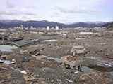 岩手県 大船渡市 被災 