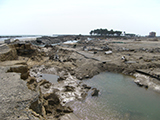 宮城県 亘理町 被災 