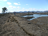 宮城県 山元町 海岸 山元海岸 坂元川防潮水門 水門上流右岸から南方向  