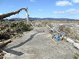 宮城県 山元町 海岸 山元海岸 坂元川右岸 坂元川右岸から中浜橋方向  