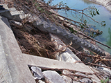 宮城県 山元町 海岸  