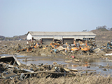 宮城県 山元町 被災