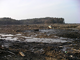 宮城県 山元町 被災 水神沼