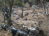 宮城県 女川町 被災 