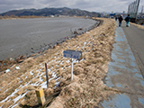 宮城県 石巻市 被災