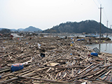 宮城県 東松島市 河川