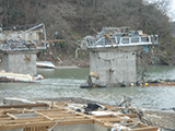 宮城県 南三陸町 橋 歌津大橋