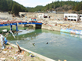 宮城県 南三陸町 被災