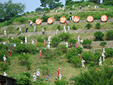 福島県 広野町 除染 広野町除染作業状況写真 