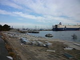 宮城県 仙台市 港湾 中央公園 