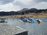 宮城県 気仙沼市 気仙沼市 小泉大橋 落橋