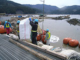 宮城県 石巻市 排水ポンプ 