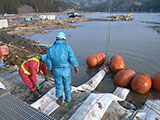 宮城県 石巻市 排水ポンプ 