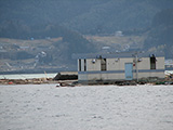 岩手県 陸前高田市 被害