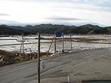 宮城県 石巻市 被害