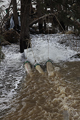 宮城県 東松島市 定川 排水作業