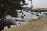 宮城県 東松島市 定川 排水作業